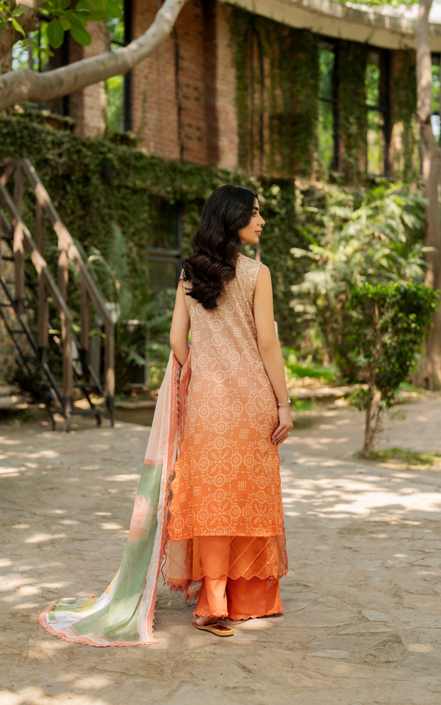 Asifa and Nabeel | Meraki SUmmer 26 | Peach Sorbet MSSL-02 - House Of Hania