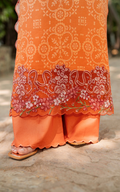 Asifa and Nabeel | Meraki SUmmer 26 | Peach Sorbet MSSL-02 - House Of Hania