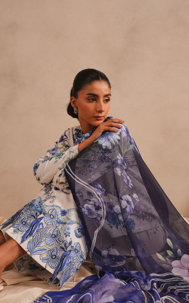 Asifa and Nabeel | Meraki SUmmer 26 | Starlit MSSL-03 - House Of Hania