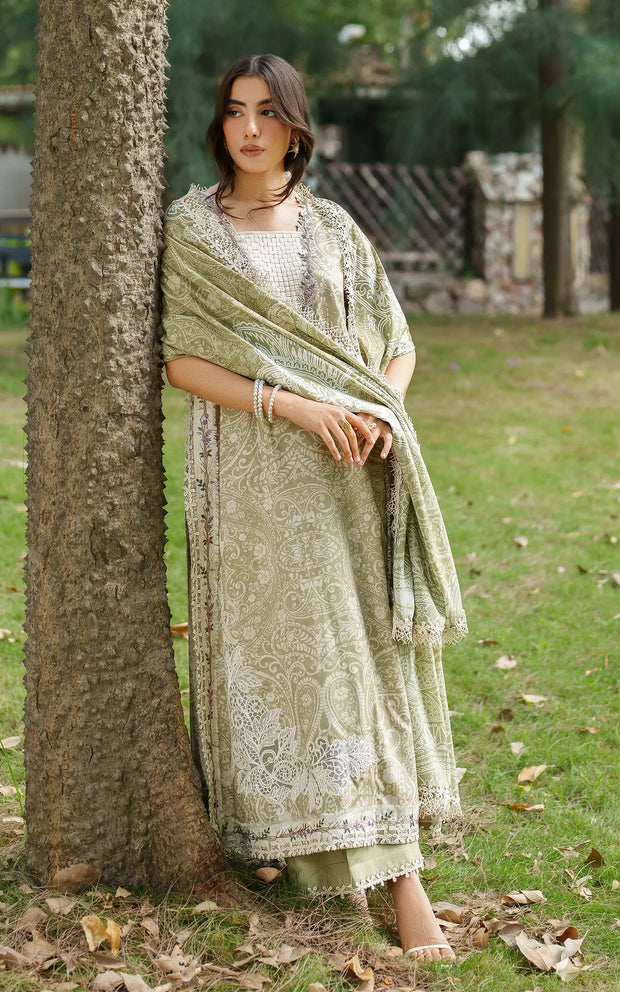 Asifa and Nabeel | Meraki Winter 25 | Frozen Dew - House Of Hania