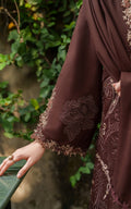 Asifa and Nabeel | Pashmina Luxe 25 | Aima LWC25-10 - House Of Hania