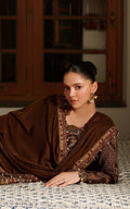 Asifa and Nabeel | Pashmina Luxe 25 |Cedar LWC25-08 - House Of Hania