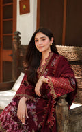 Asifa and Nabeel | Pashmina Luxe 25 | Mira LWC25-05 - House Of Hania