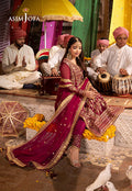 Asim Jofa | Chamak Damak Festive 24 | AJCD-12 - House Of Hania