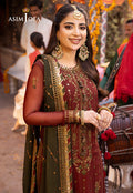 Asim Jofa | Chamak Damak Festive 24 | AJCD-22 - House Of Hania