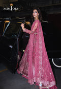 Asim Jofa | Festive Collection 25 | AJFF-03 - House Of Hania