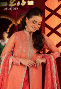 Asim Jofa | Festive Collection 25 | AJLLF-13 - House Of Hania