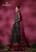 Asim Jofa | Festive Collection 26 | AJULFI-01 Embroidered Net 2 Pcs - House Of Hania