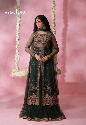 Asim Jofa | Festive Collection 26 | AJULFI-02 Embroidered Net 3 Pcs - House Of Hania