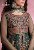 Asim Jofa | Festive Collection 26 | AJULFI-02 Embroidered Net 3 Pcs - House Of Hania