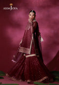 Asim Jofa | Festive Collection 26 | AJULFI-06 Embroidered Net  3 Pcs - House Of Hania
