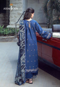 Asim Jofa | Festive Luxe | AJMUB-06 - House Of Hania