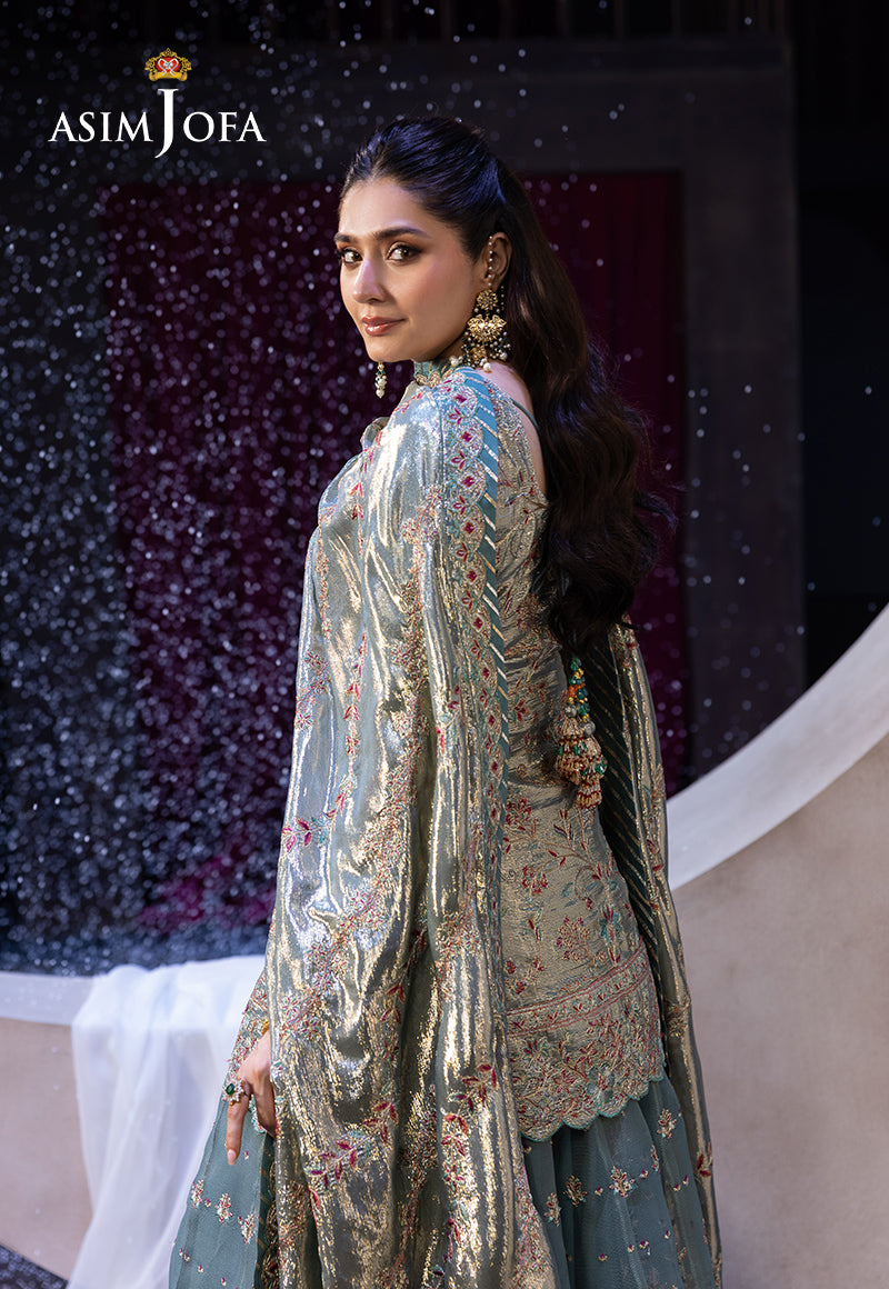 Asim Jofa | Festive Opulence | AJFO-14 - House Of Hania