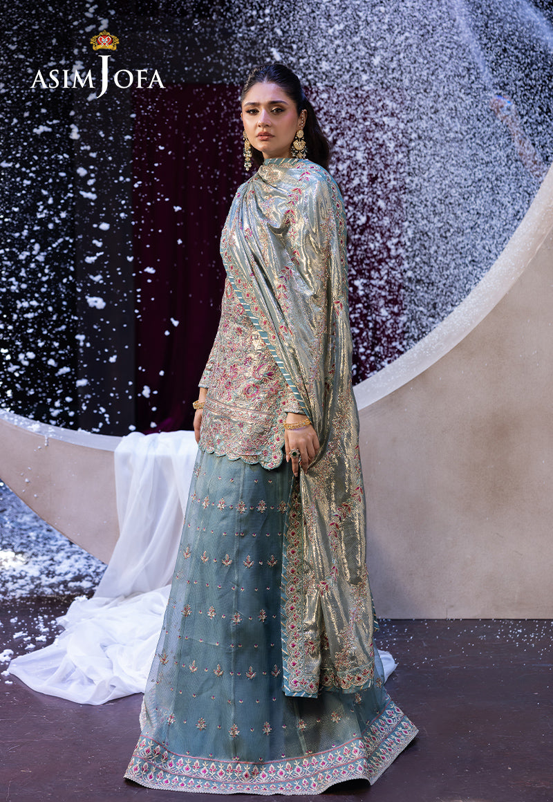 Asim Jofa | Festive Opulence | AJFO-14 - House Of Hania