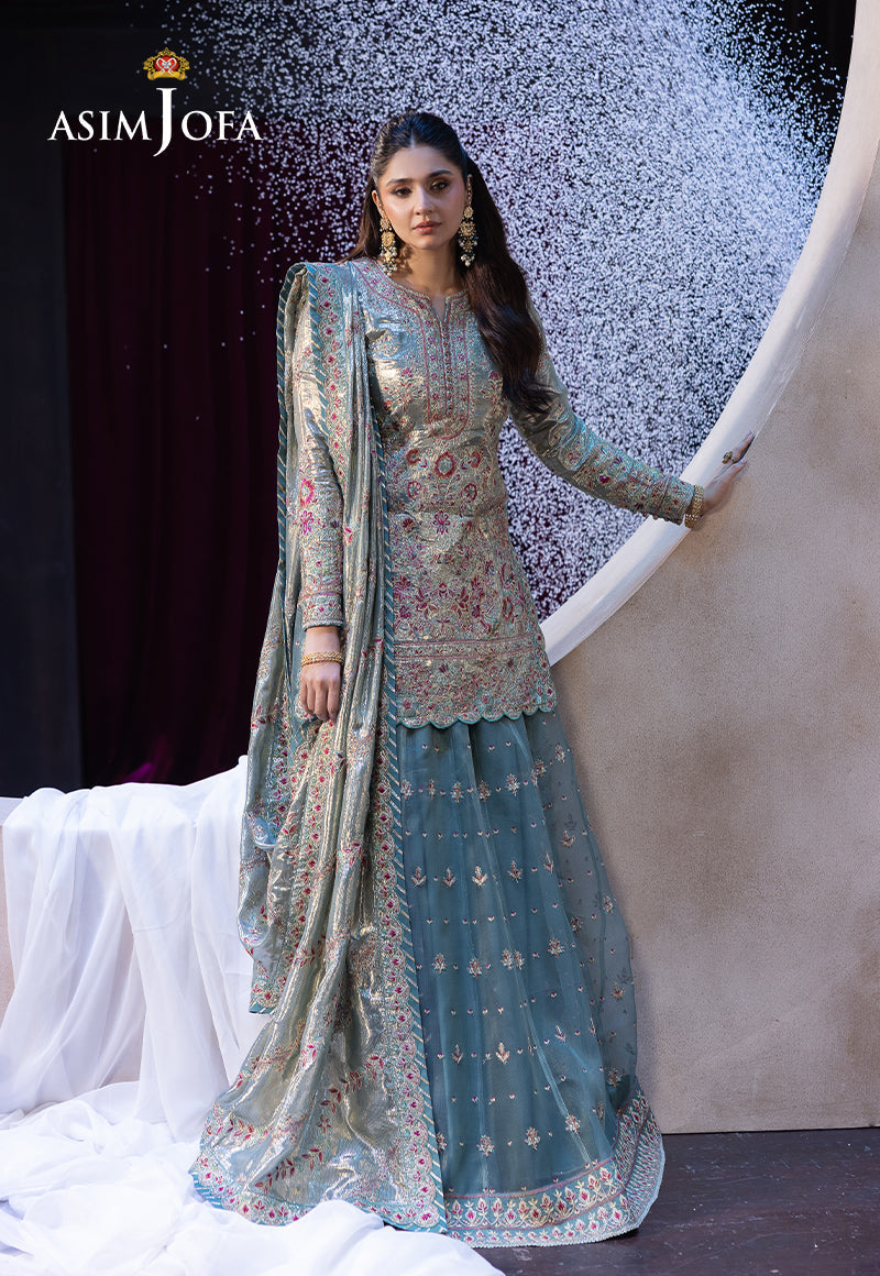 Asim Jofa | Festive Opulence | AJFO-14 - House Of Hania