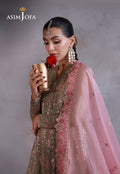 Asim Jofa | Ishq e Eid | AJULN-02 Embroidered Javeria Net  3 Pcs - House Of Hania