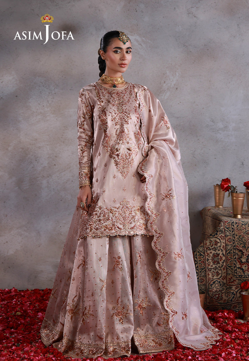 Asim Jofa | Ishq e Eid | AJULN-15 Embroidered Zari Tissue Net 3 Pcs - House Of Hania