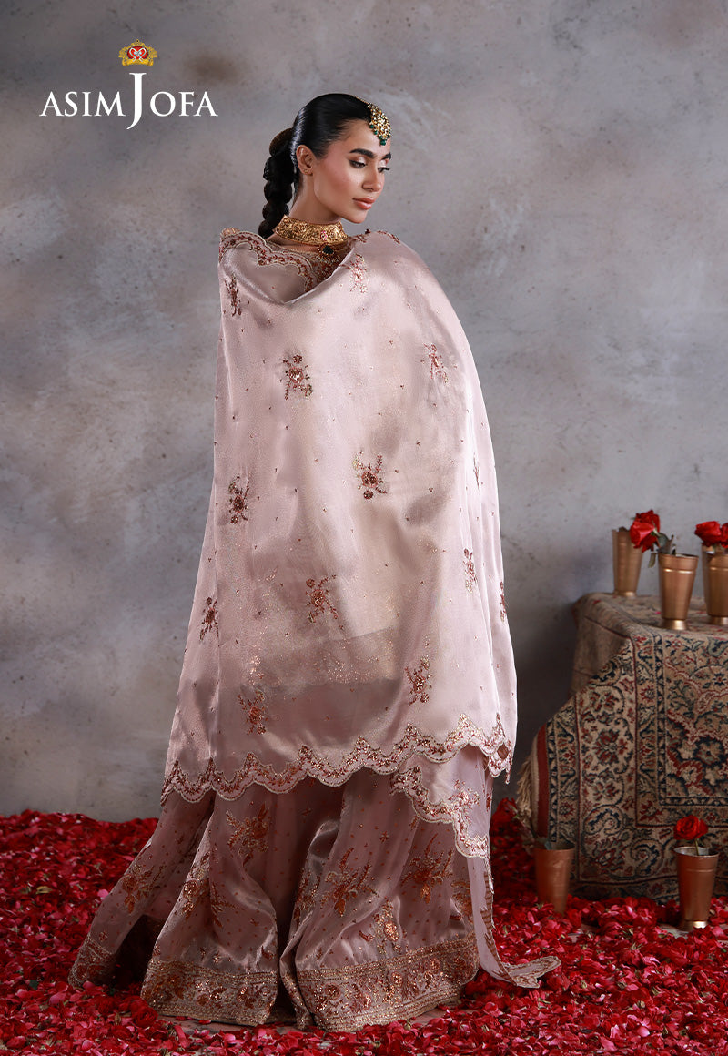 Asim Jofa | Ishq e Eid | AJULN-15 Embroidered Zari Tissue Net 3 Pcs - House Of Hania