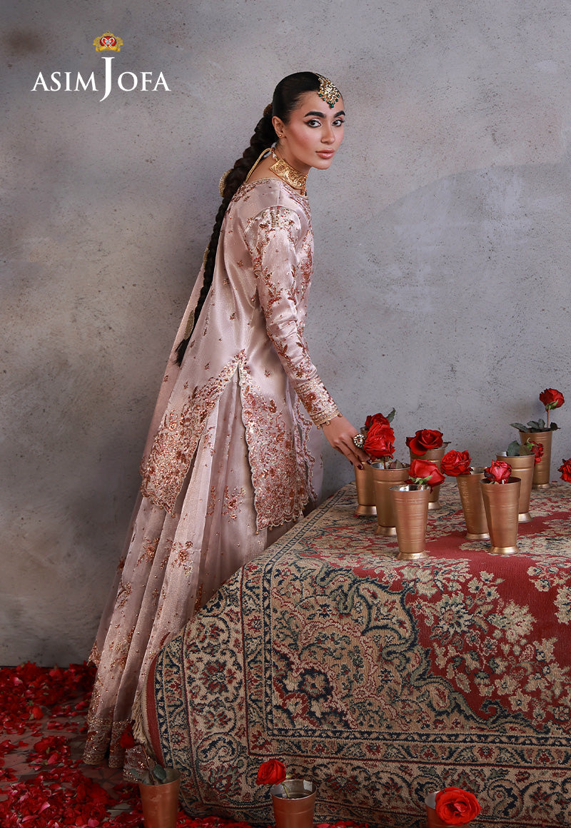 Asim Jofa | Ishq e Eid | AJULN-15 Embroidered Zari Tissue Net 3 Pcs - House Of Hania