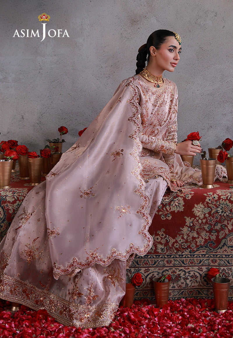 Asim Jofa | Ishq e Eid | AJULN-15 Embroidered Zari Tissue Net 3 Pcs - House Of Hania