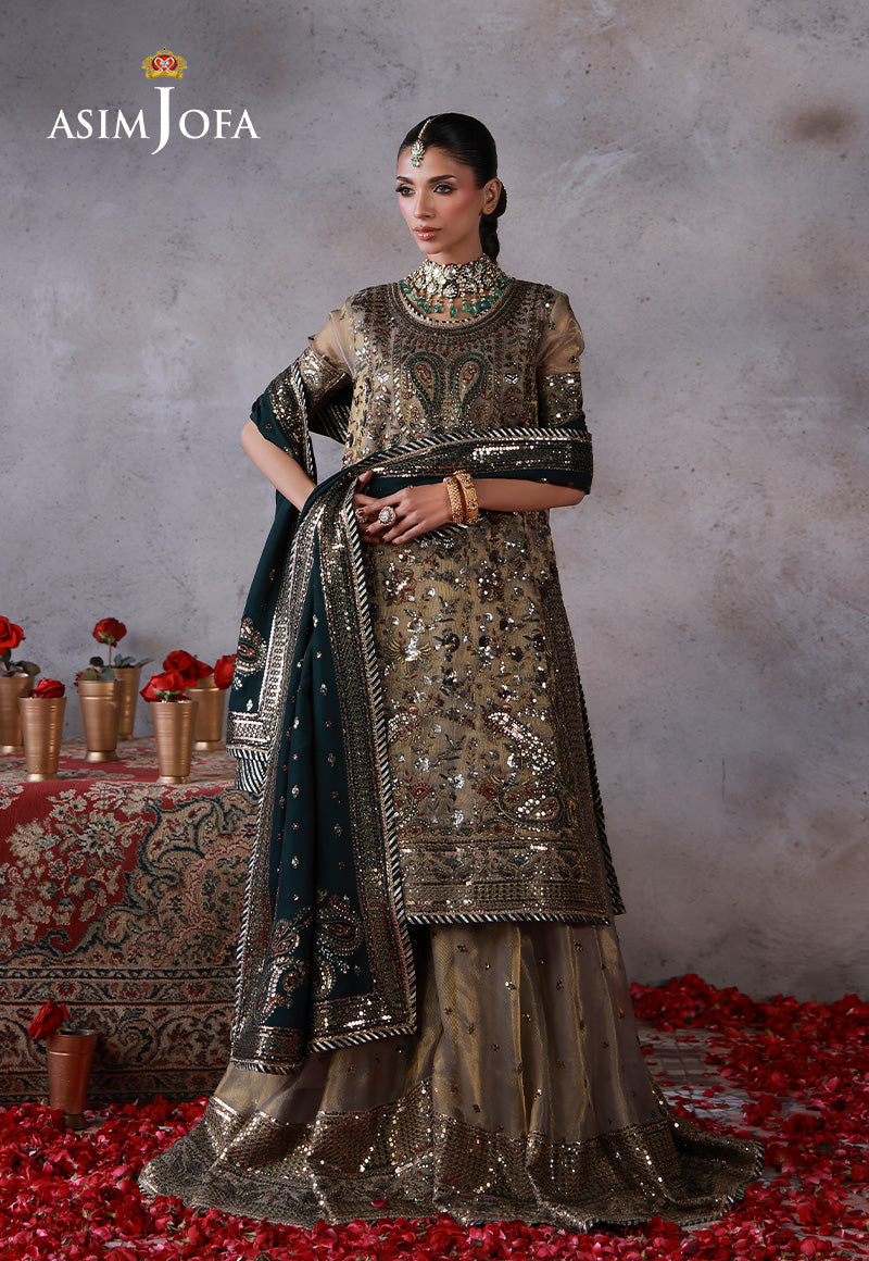 Asim Jofa | Ishq e Eid | AJULN-19 Embroidered Zari Check Net  3 Pcs - House Of Hania