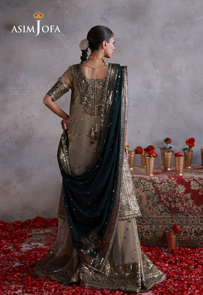 Asim Jofa | Ishq e Eid | AJULN-19 Embroidered Zari Check Net  3 Pcs - House Of Hania