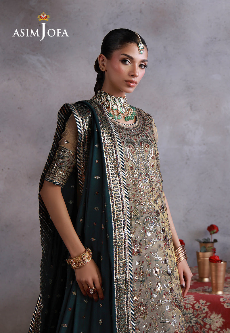 Asim Jofa | Ishq e Eid | AJULN-19 Embroidered Zari Check Net  3 Pcs - House Of Hania