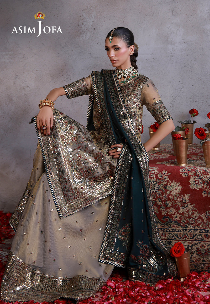 Asim Jofa | Ishq e Eid | AJULN-19 Embroidered Zari Check Net  3 Pcs - House Of Hania