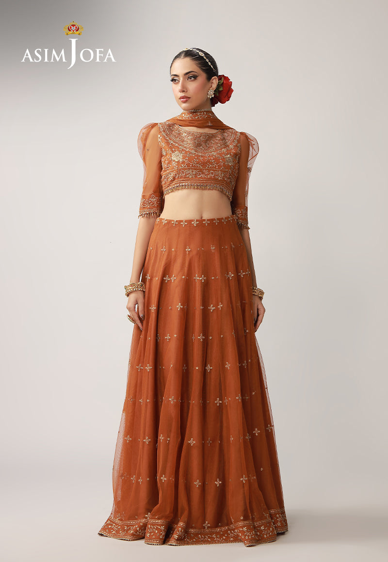 Asim Jofa | Layaan Festive Collection | AJULO-01 - House Of Hania