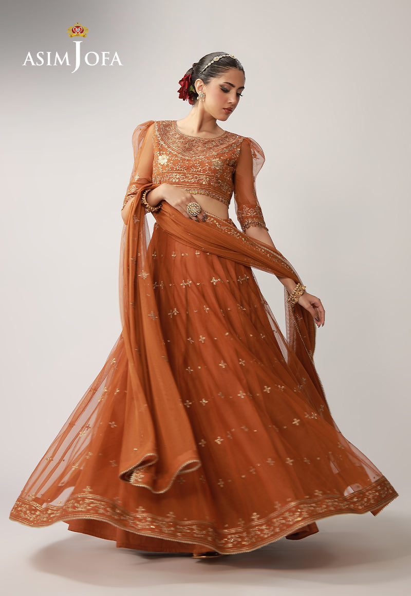 Asim Jofa | Layaan Festive Collection | AJULO-01 - House Of Hania