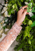 Asim Jofa | Lumiere Formals | AJLFC-02 EMBROIDERED ORGANZA - House Of Hania