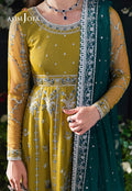 Asim Jofa | Lumiere Formals | AJLFC-10 EMBROIDERED NET - House Of Hania