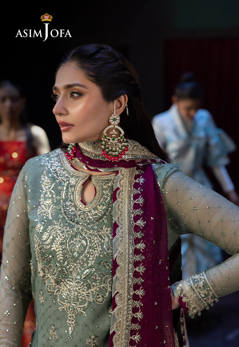 Asim Jofa | Luxury Festive Rejoice | AJLFF-13 - House Of Hania