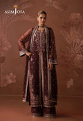 Asim Jofa | Zari Festive Collection | AJULD-07 - House Of Hania