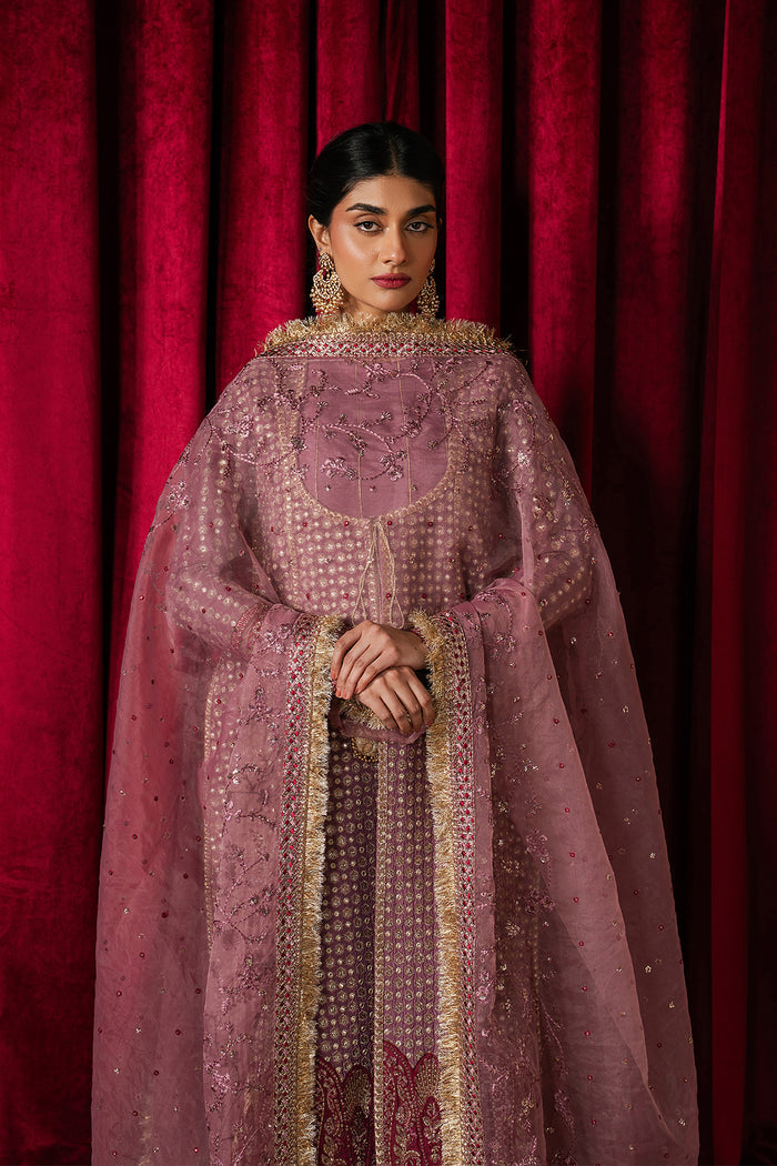 Ayzel Humnishin | Mauve Panelled Anarkali Silk Festive Set - House Of Hania