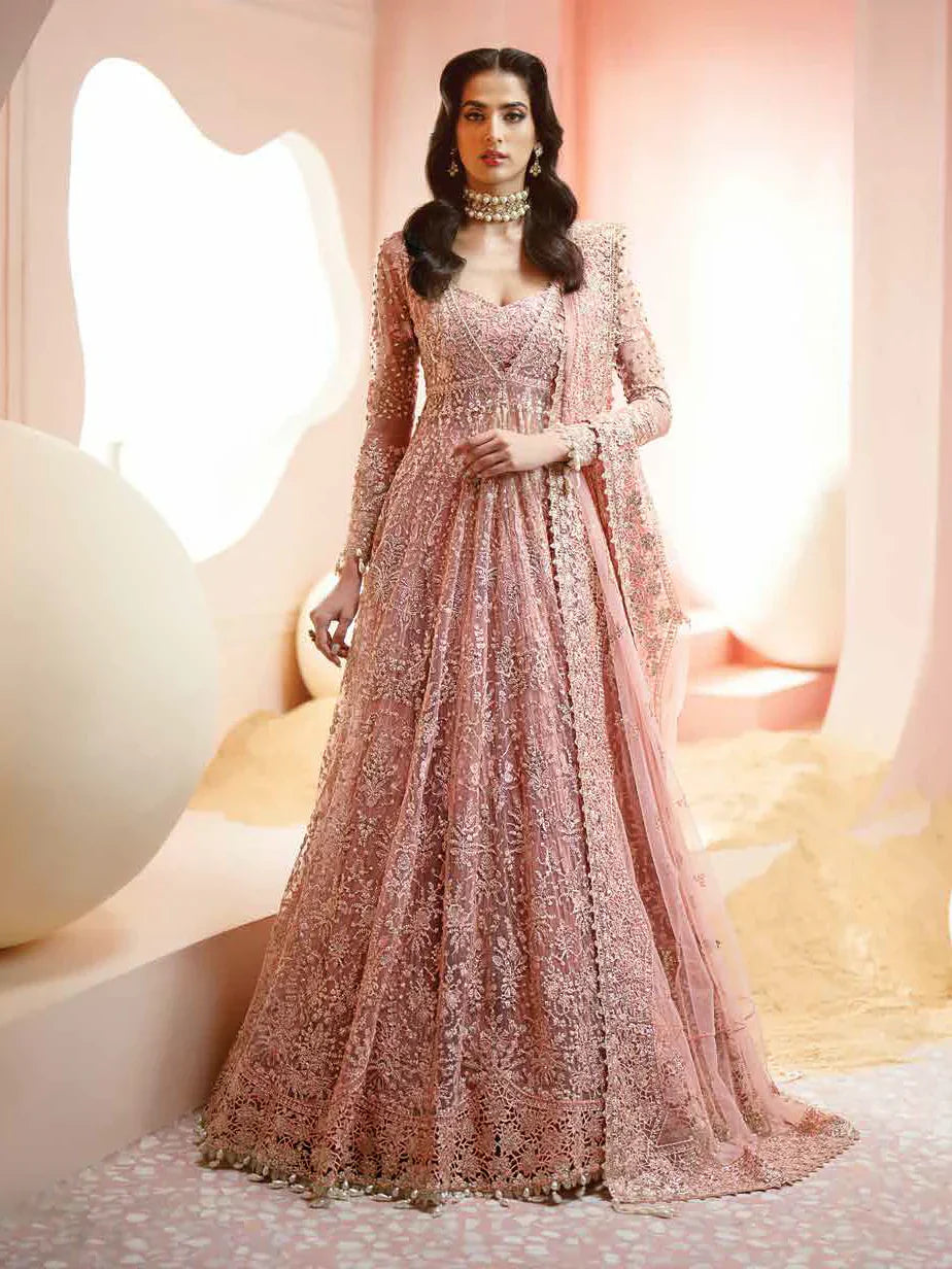 Ayzel Luminara Embroidered Net 3Pc Suit AWF-05 EARL - House Of Hania