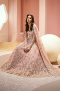 Ayzel Luminara Embroidered Net 3Pc Suit AWF-05 EARL - House Of Hania
