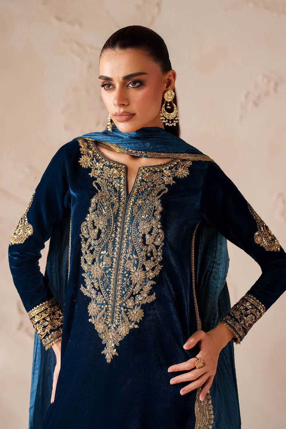 Baroque | EMBROIDERED VELVET | PR-1206 - House Of Hania