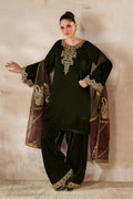 Baroque | EMBROIDERED VELVET | PR-1210 - House Of Hania