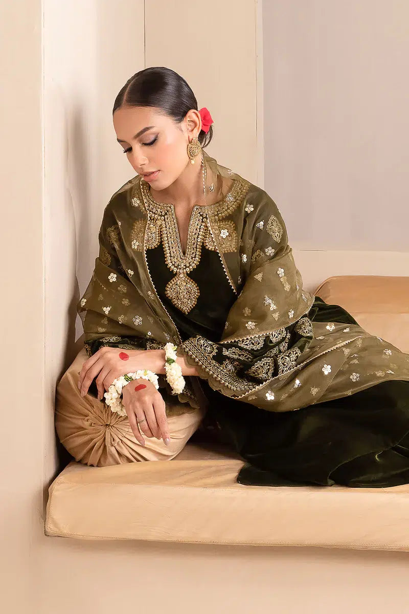 Baroque | Jahanara Luxury Velvet 23 | UF-425 - House Of Hania