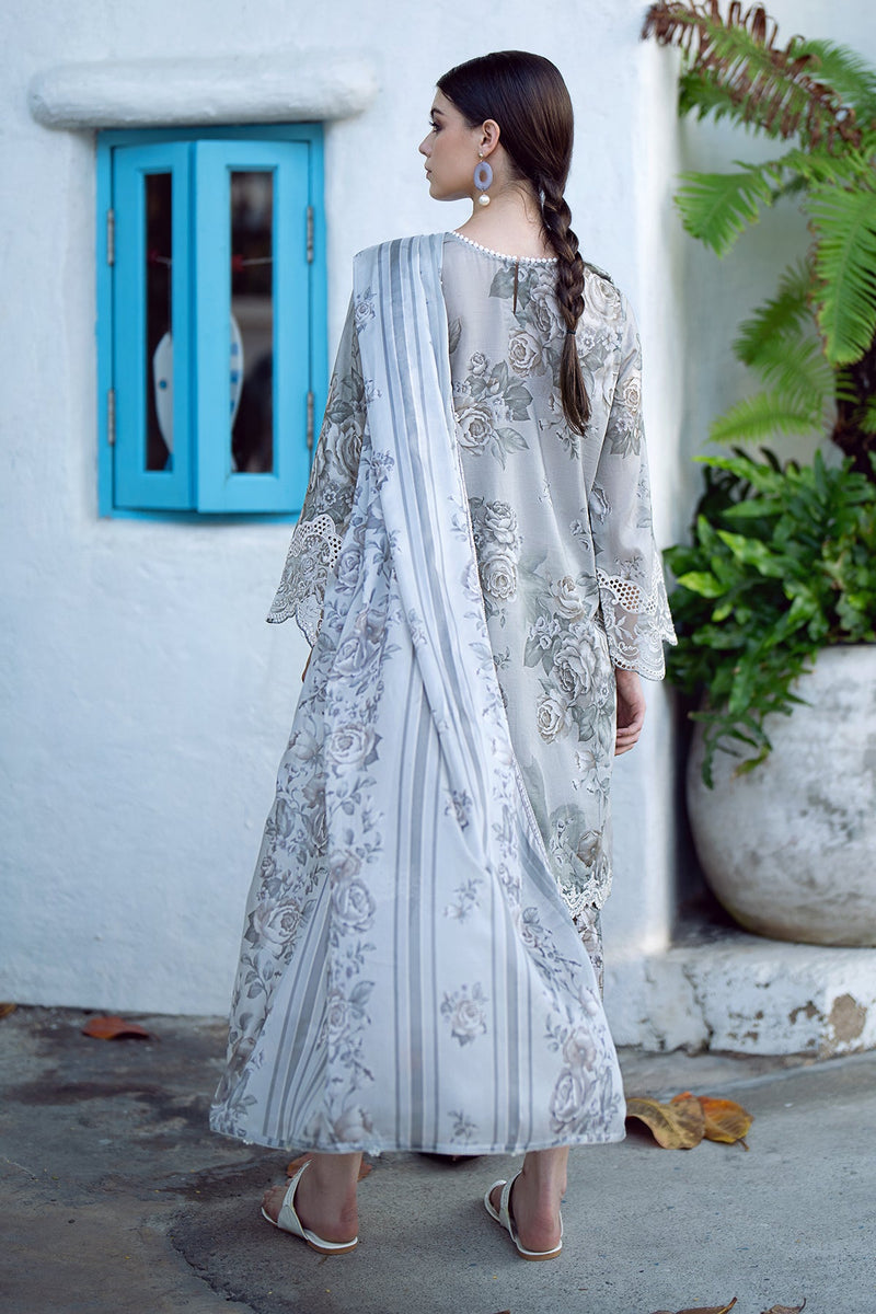 Baroque | Lawn Collection 24 | UF-557 - House Of Hania