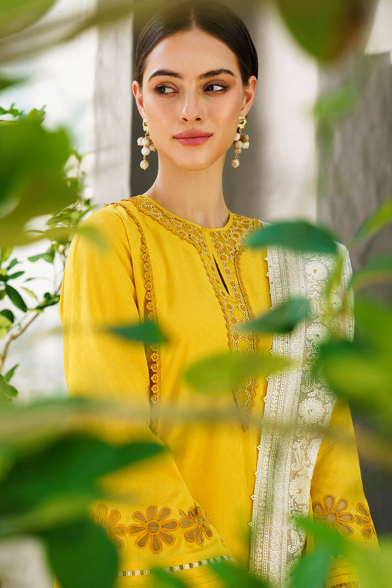 Baroque | Lawn Collection 24 | UF-562 - House Of Hania