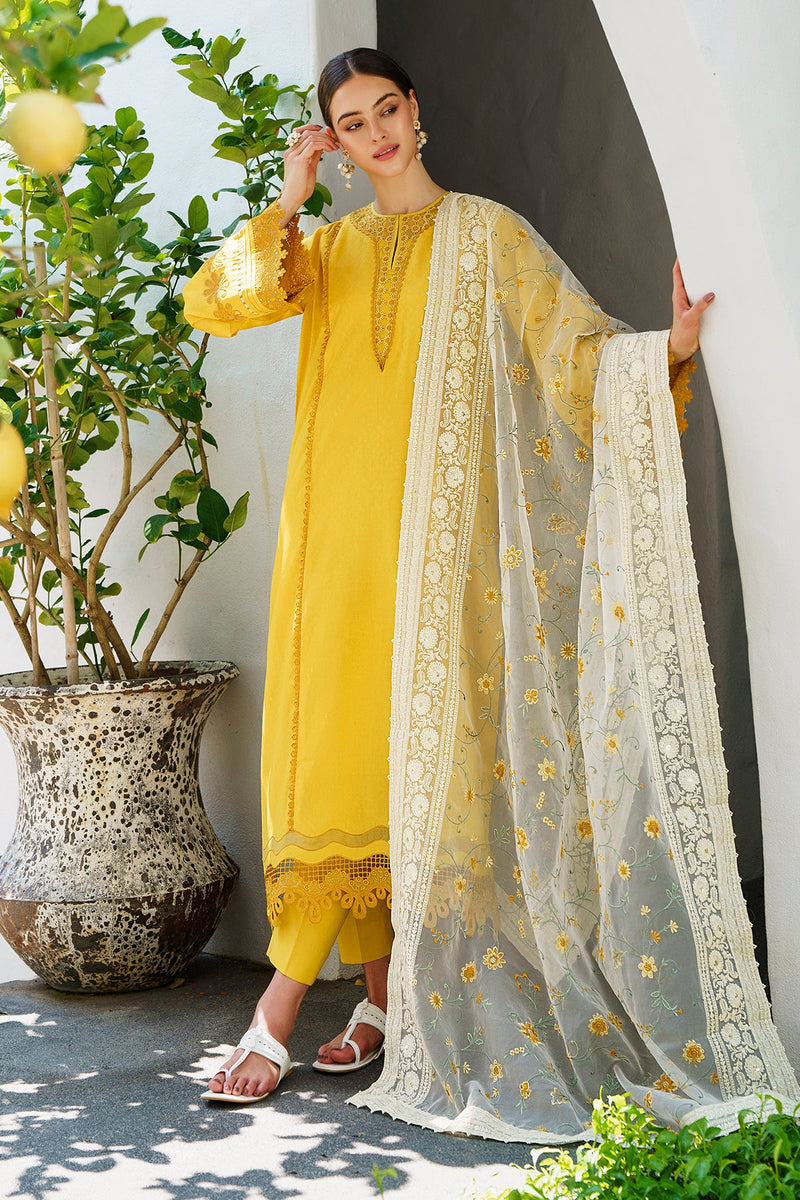 Baroque | Lawn Collection 24 | UF-562 - House Of Hania