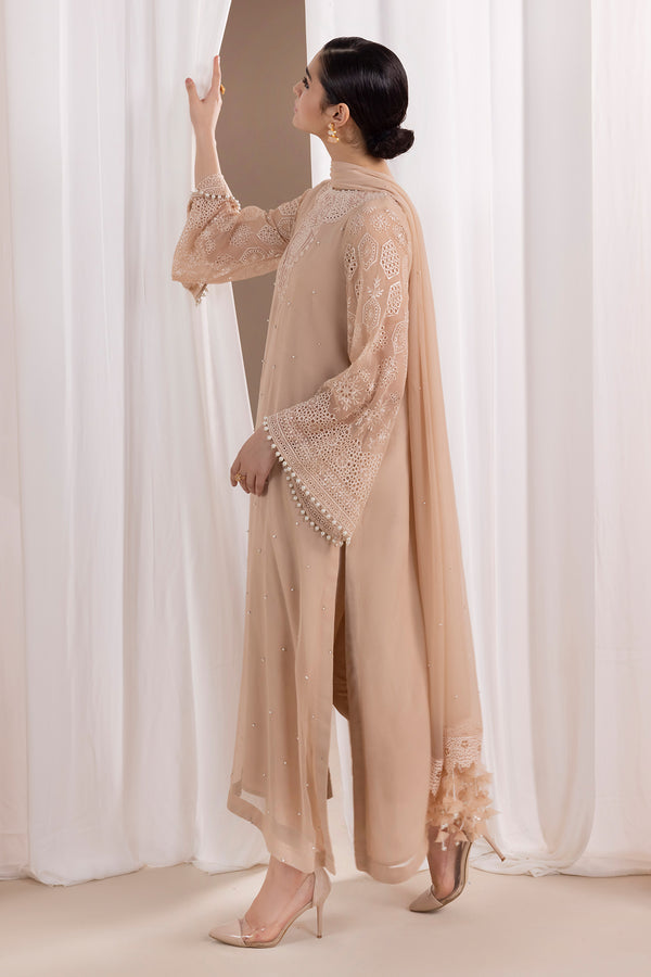 Baroque | Luxury Pret 24 | CHIFFON PR-843 - House Of Hania