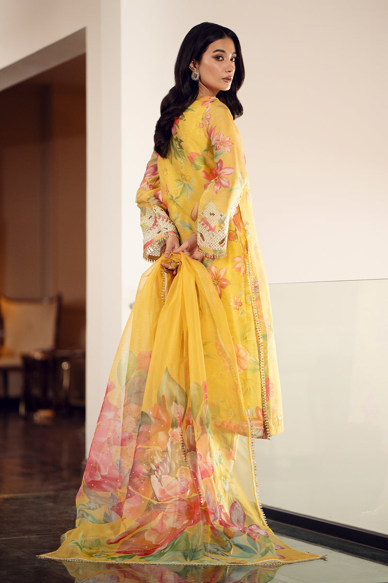 Baroque | Luxury Pret 24 | COTTON PATTI UF-509 - House Of Hania