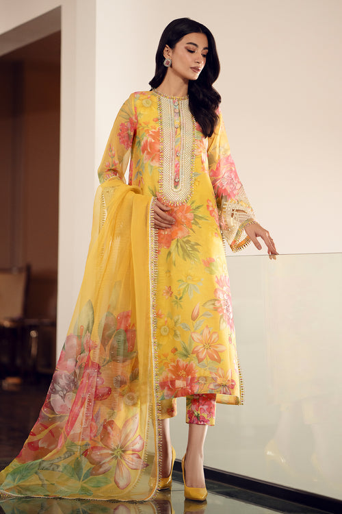 Baroque | Luxury Pret 24 | COTTON PATTI UF-509 - House Of Hania