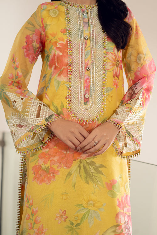Baroque | Luxury Pret 24 | COTTON PATTI UF-509 - House Of Hania