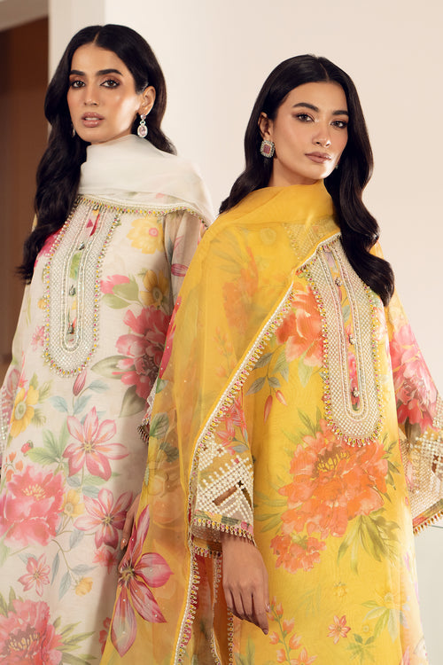 Baroque | Luxury Pret 24 | COTTON PATTI UF-509 - House Of Hania