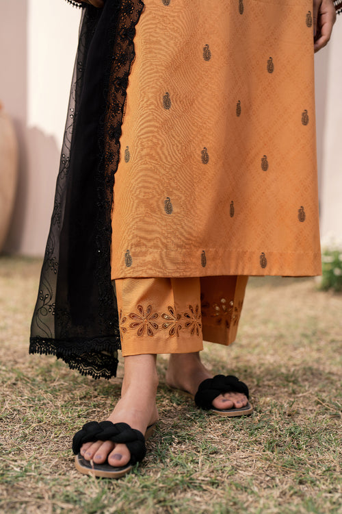 Baroque | Luxury Pret 24 | JACQUARD LAWN UF-613 - House Of Hania