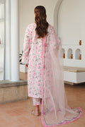 Baroque | Luxury Pret 24 | LAWN UF-650 - House Of Hania